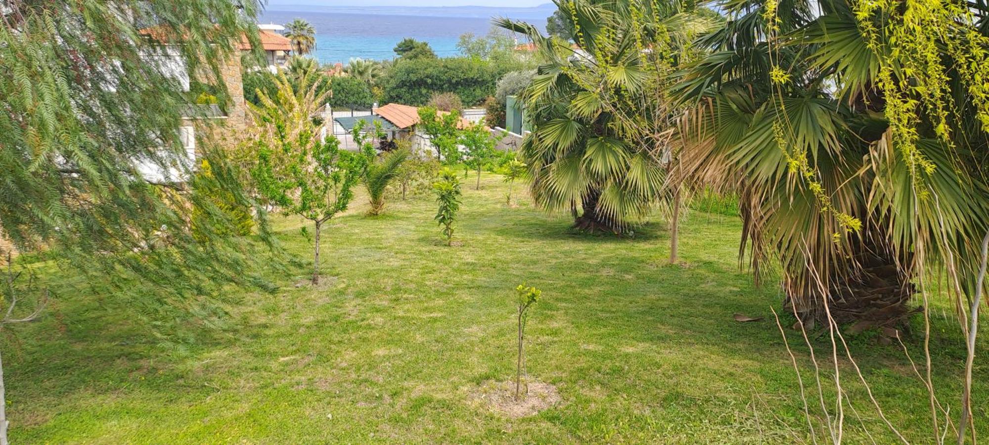 Villa Helga Exotic Pefkochori Ngoại thất bức ảnh